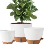 Self-Watering Indoor Planters