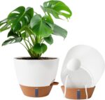 Self-Watering Indoor Planters