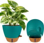 Self-Watering Indoor Planters