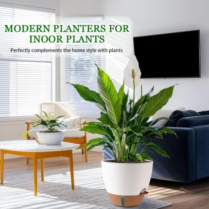 Self-Watering Indoor Planters