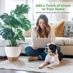 Self-Watering Indoor Planters