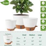 Self-Watering Indoor Planters
