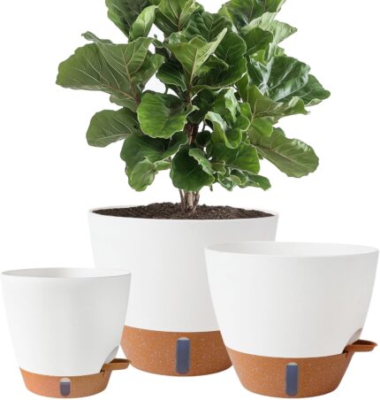 Self-Watering Indoor Planters