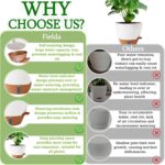 Self-Watering Indoor Planters
