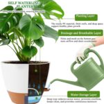 Self-Watering Indoor Planters