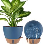 Self-Watering Indoor Planters