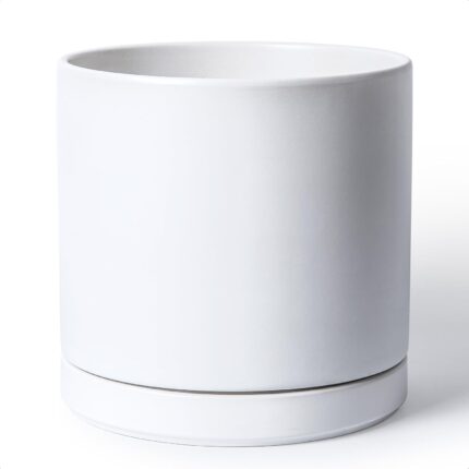 Large White Ceramic Planter