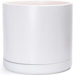 Large White Ceramic Planter