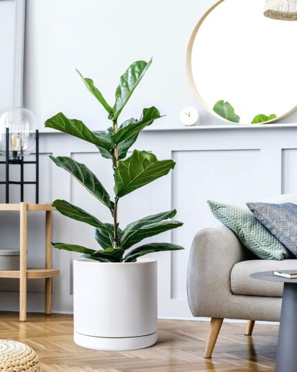 Large White Ceramic Planter