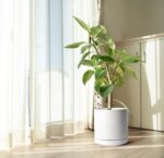 Large White Ceramic Planter