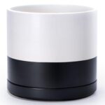 Large White Ceramic Planter