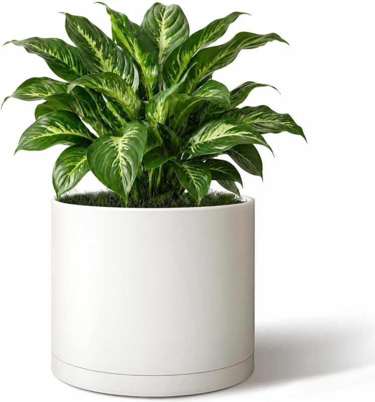 Minimalist Matte White Planter