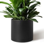 Minimalist Matte White Planter