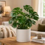 Minimalist Matte White Planter