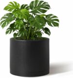 Minimalist Matte White Planter