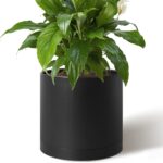 Minimalist Matte White Planter