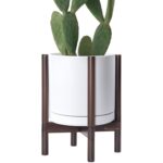 Modern White Ceramic Planter