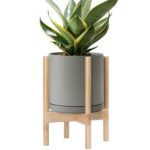Modern White Ceramic Planter