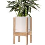 Modern White Ceramic Planter