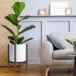 Modern White Ceramic Planter
