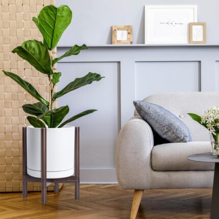 Modern White Ceramic Planter