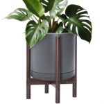 Modern White Ceramic Planter
