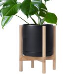 Modern White Ceramic Planter