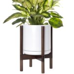 Modern White Ceramic Planter