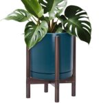 Modern White Ceramic Planter
