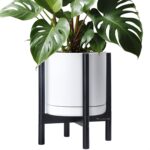 Modern White Ceramic Planter