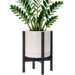 Modern White Ceramic Planter