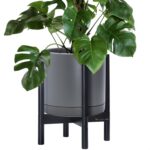 Modern White Ceramic Planter