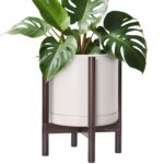Modern White Ceramic Planter
