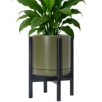 Modern White Ceramic Planter