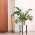 Modern White Ceramic Planter