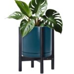 Modern White Ceramic Planter