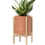 Modern White Ceramic Planter