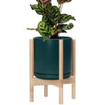 Modern White Ceramic Planter