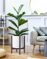Modern White Ceramic Planter