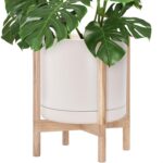 Modern White Ceramic Planter