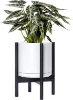 Modern White Ceramic Planter