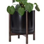 Modern White Ceramic Planter