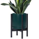 Modern White Ceramic Planter