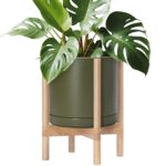 Modern White Ceramic Planter