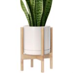 Modern White Ceramic Planter