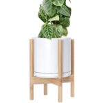 Modern White Ceramic Planter