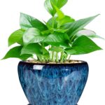 Ocean Blue Ceramic Planter