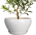 Ocean Blue Ceramic Planter