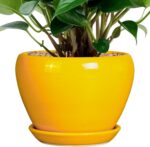 Ocean Blue Ceramic Planter
