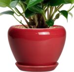 Ocean Blue Ceramic Planter
